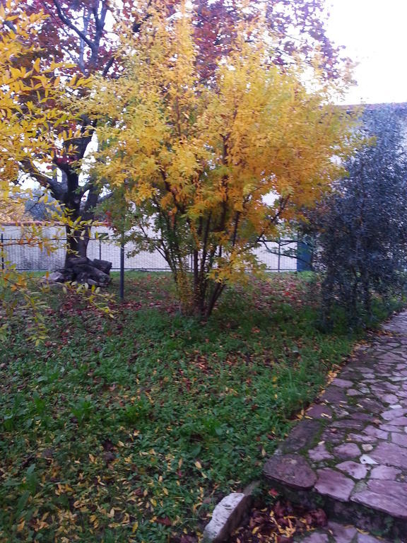 Gli Aceri B&B Аркола Екстериор снимка